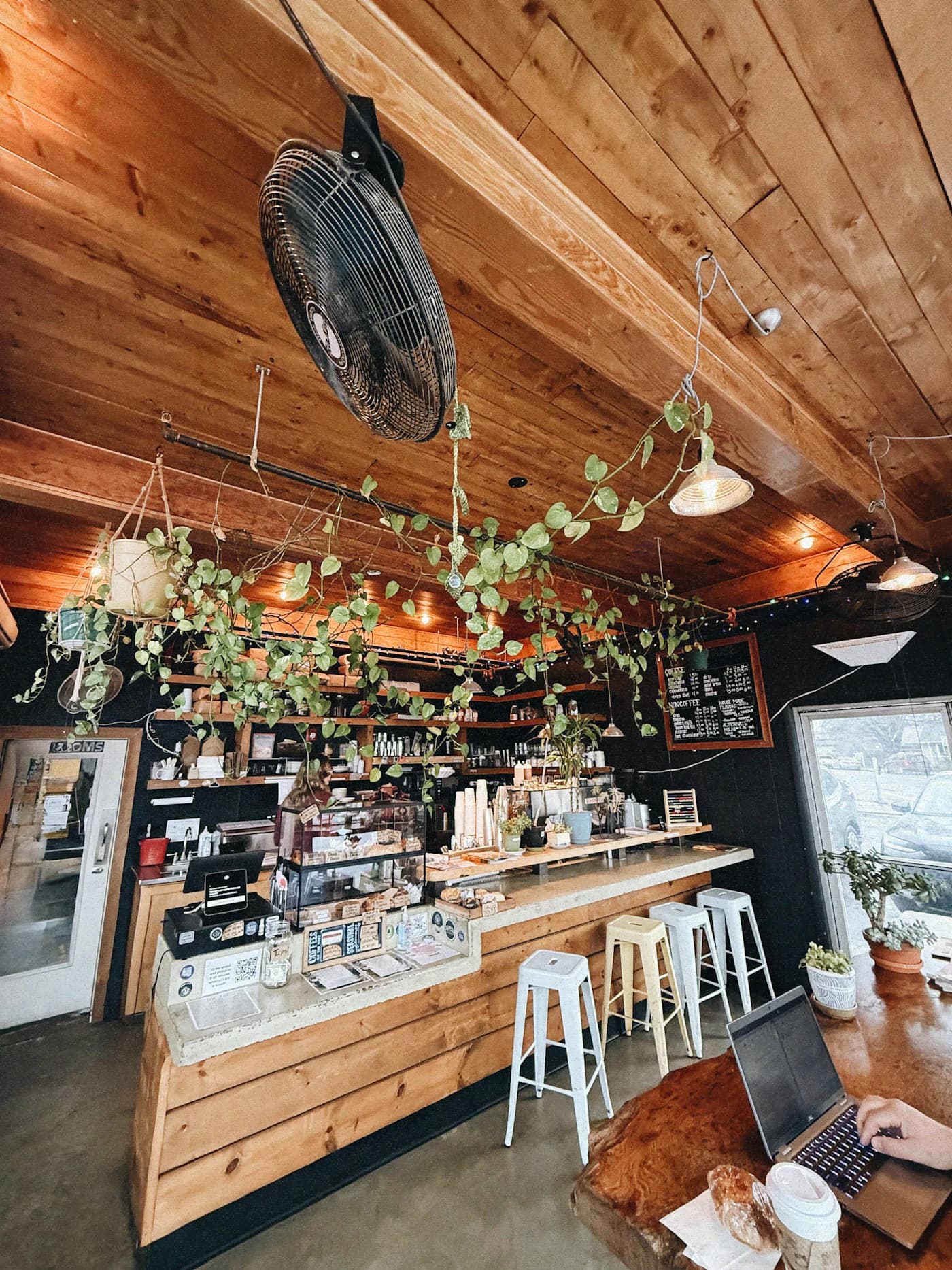 Mostrador, mobiliario y equipo de una cafetería con plantas y luz natural.